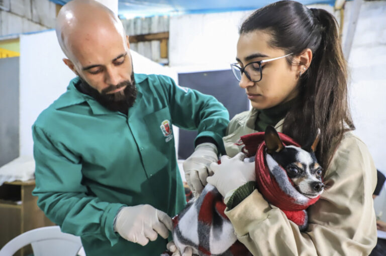 Moradores da Regional Boa Vista podem levar cães e gatos para exames e vacinas gratuitos; saiba como