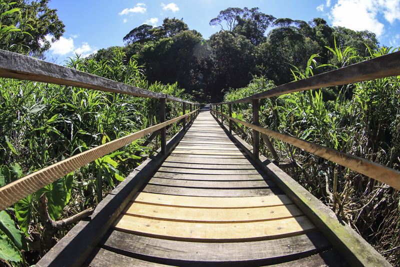 Reconstrução de passarela em madeira na Rua Júlia Domingo Bortolotto, no Abranches. Curitiba, 23/01/2026. Foto: José Fernando Ogura/SECOM
